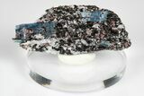 Blue Kyanite & Garnet in Biotite-Quartz Schist - Russia #178946-1